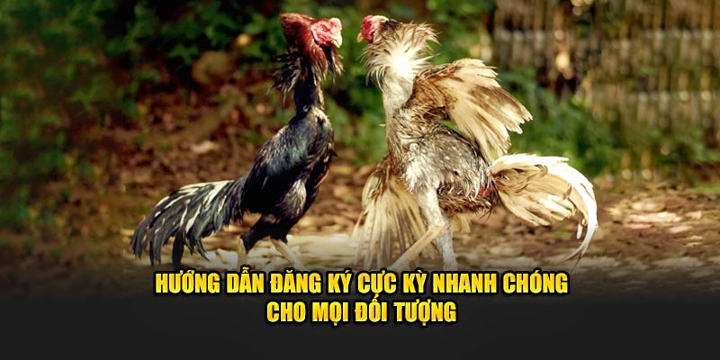 Hướng dẫn đăng ký cực kỳ nhanh chóng cho mọi đối tượng