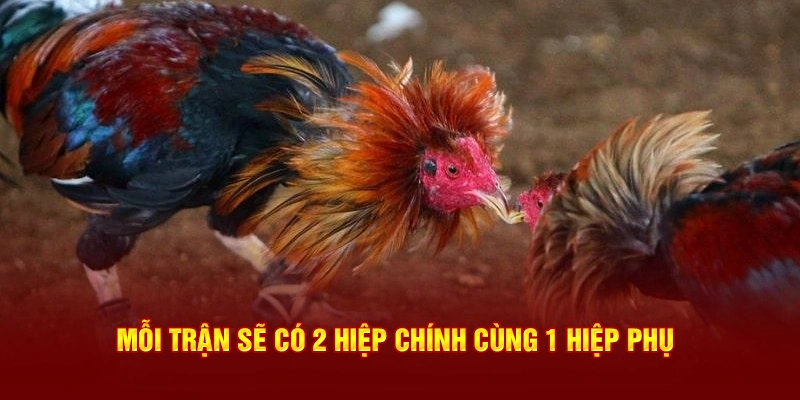 Mỗi trận sẽ có 2 hiệp chính cùng 1 hiệp phụ 