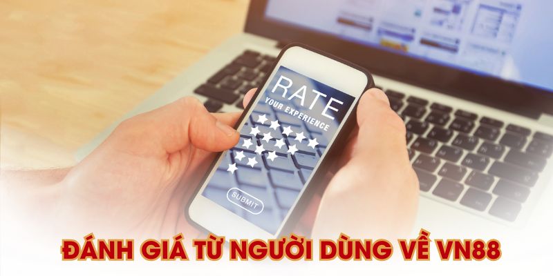 Đánh giá từ người dùng thực tế 