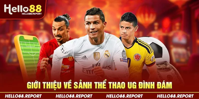 Giới thiệu về sảnh thể thao UG đình đám