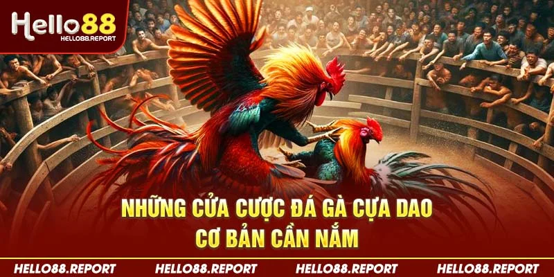 Những cửa cược đá gà cựa dao cơ bản cần nắm
